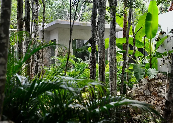 Seve Hotel *